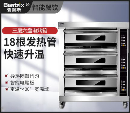 �̈D˹����